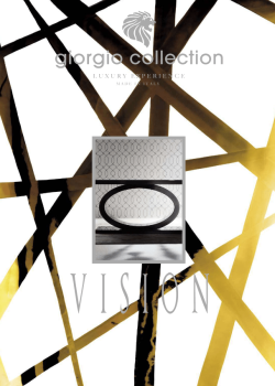 Screenshot 2025-11-18 at 12-36-04 Vision.pdf